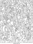 free coloring page 494233-025