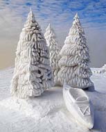 snow_trees