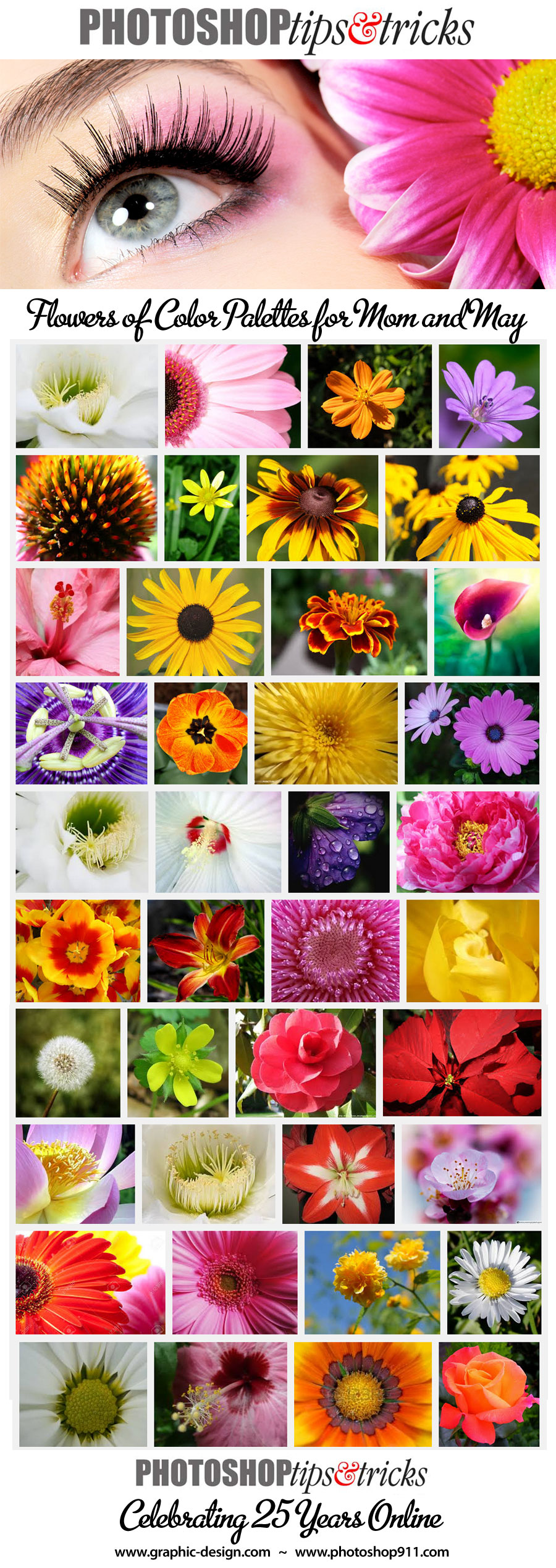 may_flowers_color_palettes