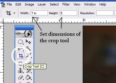 Select a crop tool