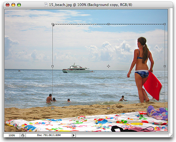 resize the selection using the drag handles on the crop tool
