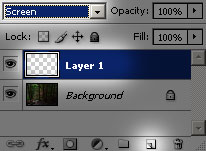 Press the Create a new layer button in the Layers pallet