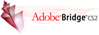 Adobe Bridge and CS2