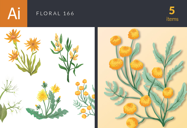 vector-floral-set