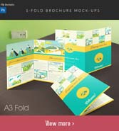 folded_brochures