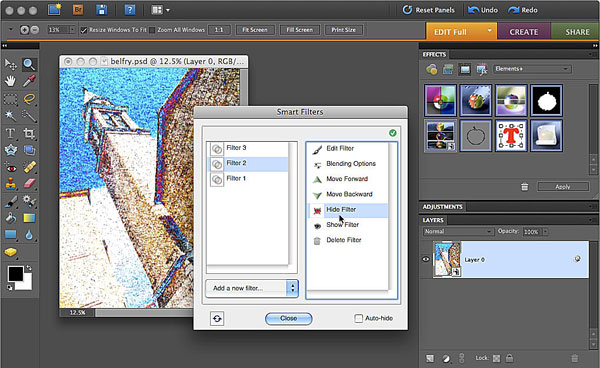 Adobe Photoshop Elements 8. Elements+