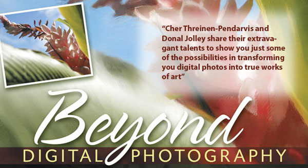 Beyond Digital Photography: Transforming Photos into Fine Art with Photoshop and Painter